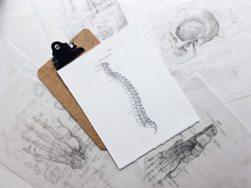 Dance Anatomy Dance Anatomy